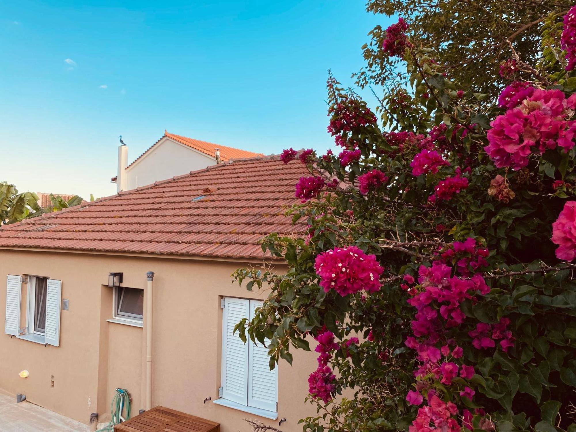 Villa Katoικια Lourdata  Exterior foto